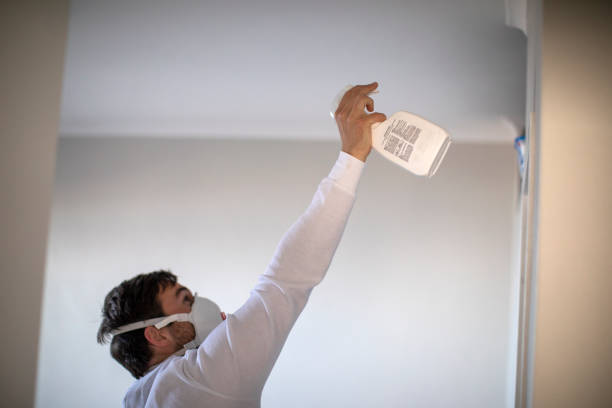 Best Residential Mold Remediation in Lees Summit, MO