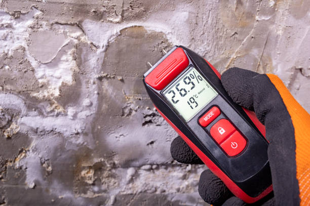 Best Residential Mold Remediation in Lees Summit, MO